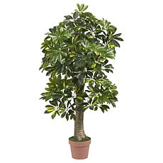 4' Schefflera Silk Tree Real Touch