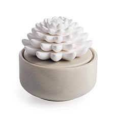 Airome Succulent Porcelain Essential Oil Diffuser