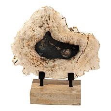 "As Is" KALIFANO Petrified Wood Slice with Display Stand