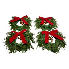 "As Is" Winter Lane Set of 4 14" Lit Wreaths