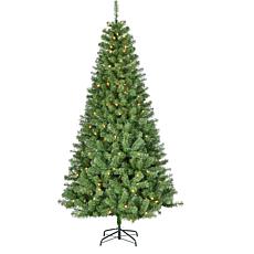 Christmas Time 6.5 ft. North Point Pine Christmas Tree with LED Lights