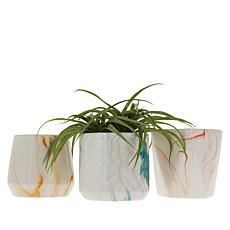 Clover by Jo Set of 3 Ceramic Flower Pots