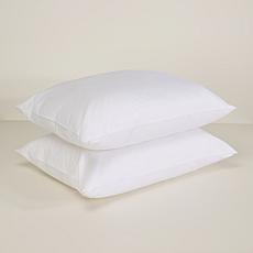 Concierge Collection 2-Pack Nano Feather Cotton Face Pillows Jumbo