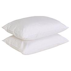 Concierge Collection 2-Pack Nano Feather Cotton Face Pillows Jumbo
