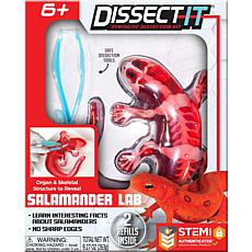 Dissect It Salamander Lab Synthetic Dissection Kit