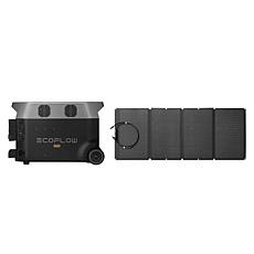 EcoFlow Tech DELTA Pro Power Station with Solar Panel and Bag