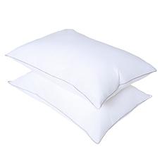 Emryn House Cotton Down Alternative 2-Pack Pillows Standard 20" x 28"