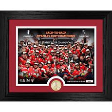 Florida Panthers 2025 Stanley Cup Champions Celebration Photo Mint