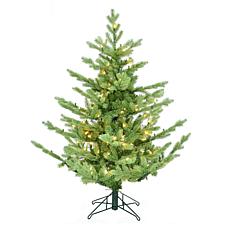 Fraser Hill Farm 4-Ft. Foxtail Pine Pre-Lit Artificial Christmas Tr...