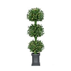 Fraser Hill Farm All Season 4-Ft. Boxwood 3-Ball Topiary with Black...
