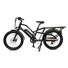 GoPowerBike GoCargo Electric Bike