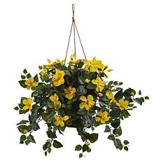 Hibiscus Hanging Basket