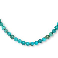 Jay King Andean Blue Turquoise Bead 18" Necklace