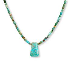 Jay King Spruce Mountain Turquoise Sterling Silver Drop Necklace