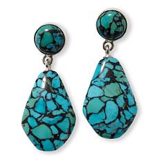 Jay King Sterling Silver Azure Peaks Turquoise Composite Earrings