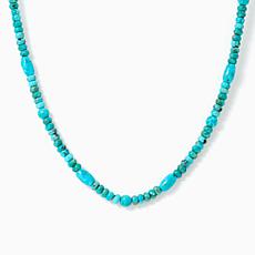 Jay King Sterling Silver Heavenly Well Lake Turquoise Necklace