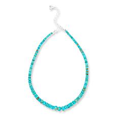 Jay King Sterling Silver Kingman Turquoise Bead 18" Necklace