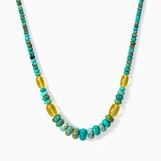 Jay King Sterling Spruce Mountain Turquoise & Green Amber Necklace