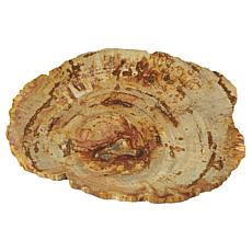 KALIFANO Petrified Wood Handcrafted Tray