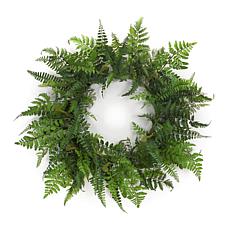 Mixed Fern Grapevine Wreath 24"