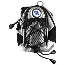 Officially Licensed LinksWalker Small Crossbody Waist Bag - Kentucky 