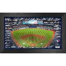 Officially Licensed MLB/MLBPA Toronto Blue Jays 2024 Signature Field