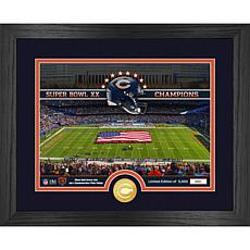Officially Licensed NFL Chicago Bears Stadium Bronze Coin Photo Mint