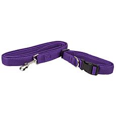 purple dog leashes