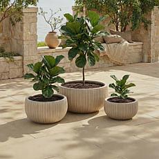 Safavieh Anita 3-Piece Fiber Clay Planter Pots