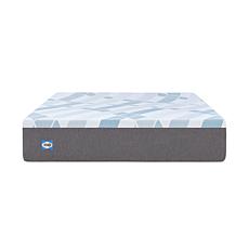 Sealy 12" Medium Feel Hybrid Mattress - Twin XL