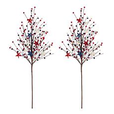 Set of 2 28" Patriotic Berry Picks