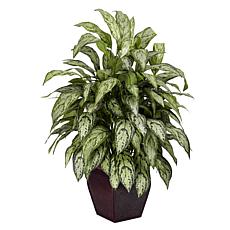 Silver Queen with Decorative Planter Silk Plant