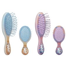 Wet Brush Desert Afterglow 4-piece Detangler & Hairbrush Set