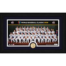 World Baseball Classic 2026 Team USA Bronze Coin Photo Mint