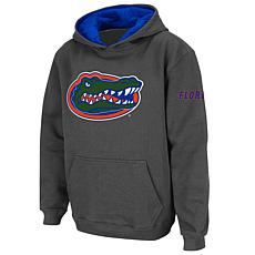 Youth Stadium Athletic Charcoal Florida Gators Big Logo Pullover Ho...