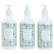 Beekman 1802 Goat Milk Mint Hand & Body Care 3-pack