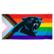 WinCraft Carolina Panthers 30'' x 60'' Pride Spectra Beach Towel