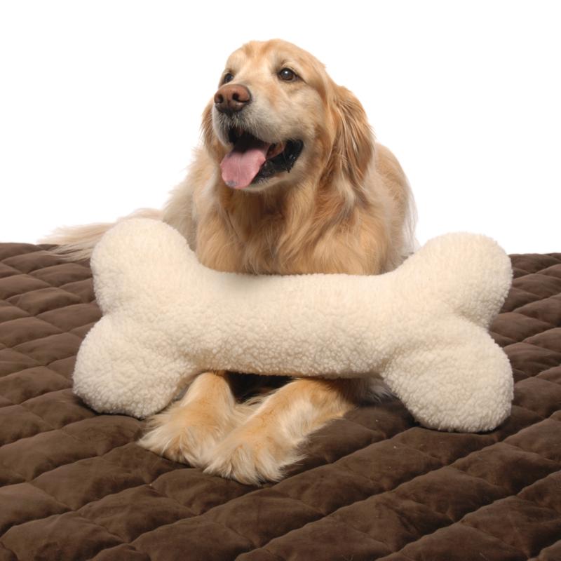 dog bone pillow