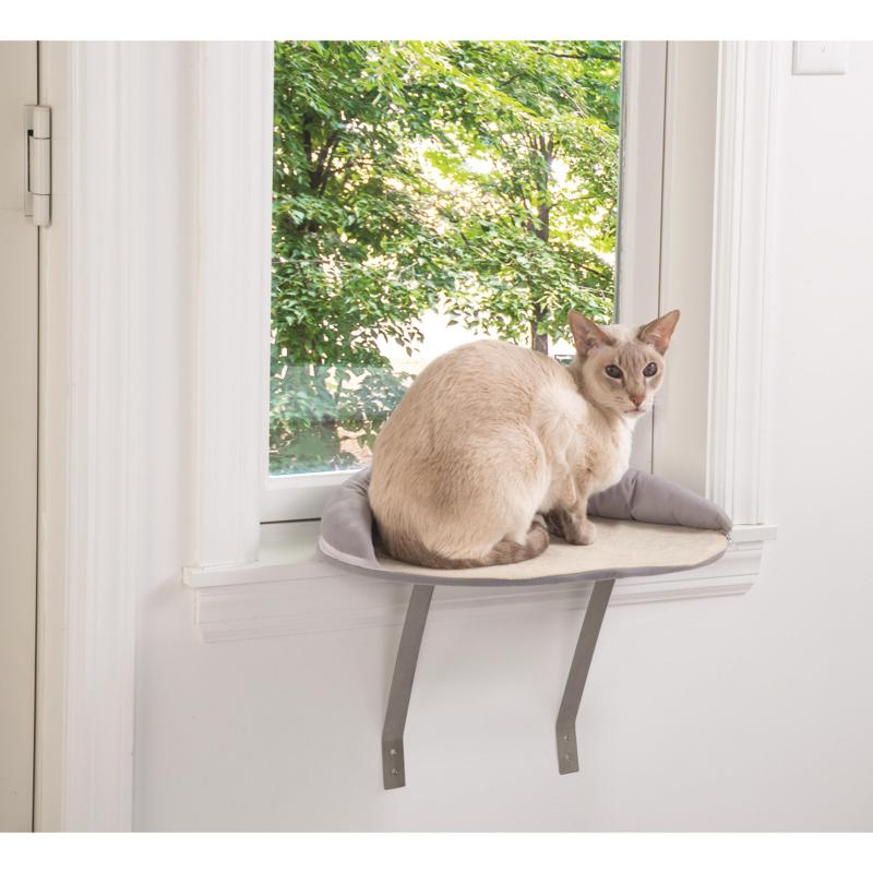 cat window perch petsmart