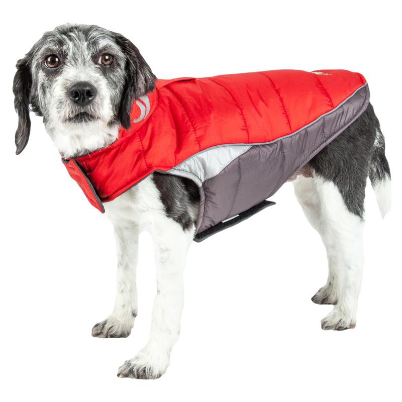 helios dog coat