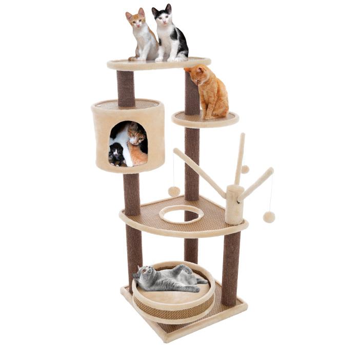 kitty condo