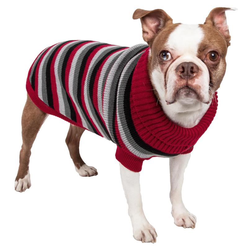 polo dog sweater