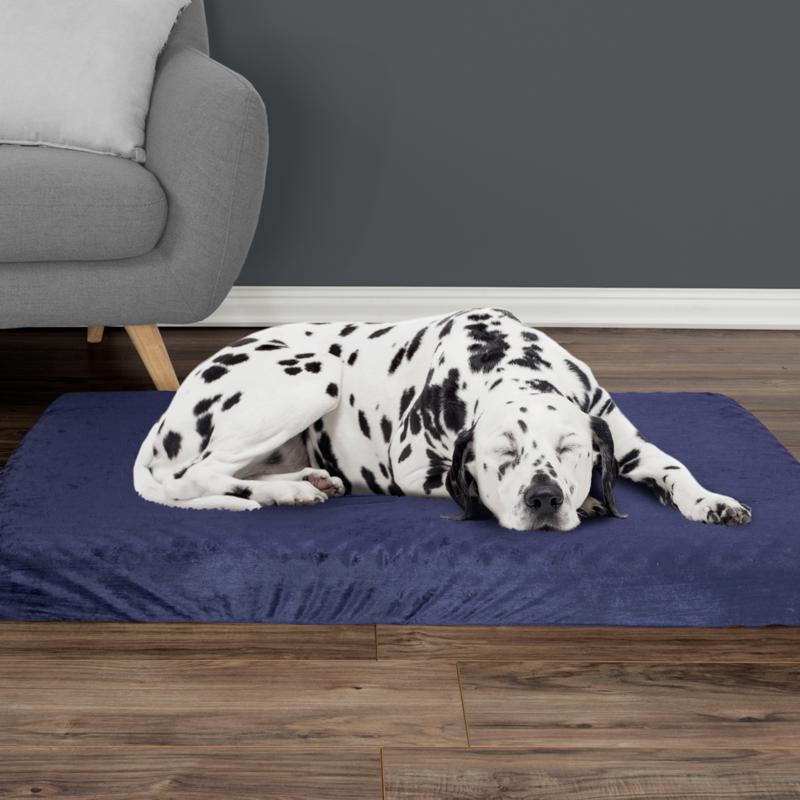 memory foam for dog crate