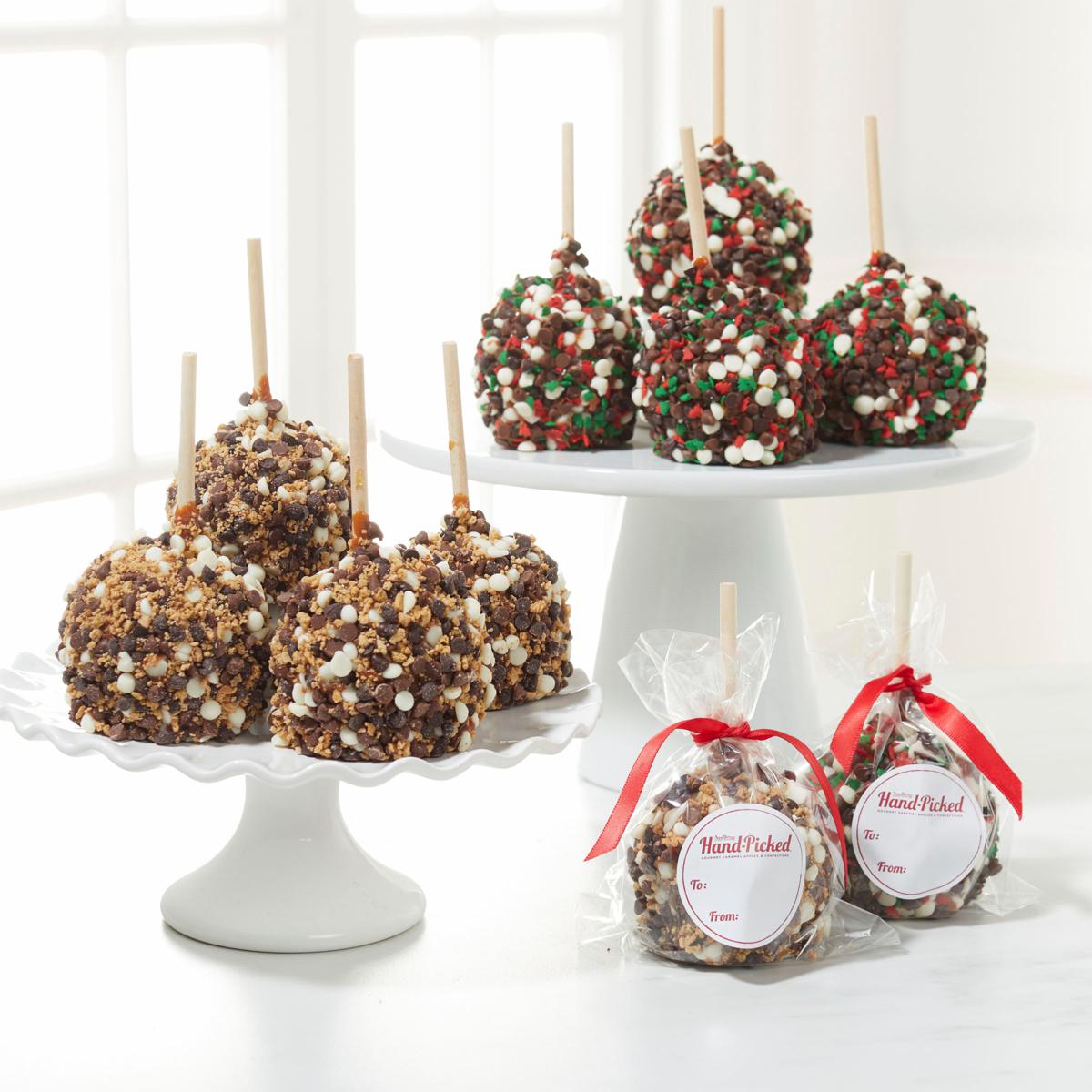 Affy Tapple 10pc Chocolate Lovers Holiday Apple Assortment - December ...