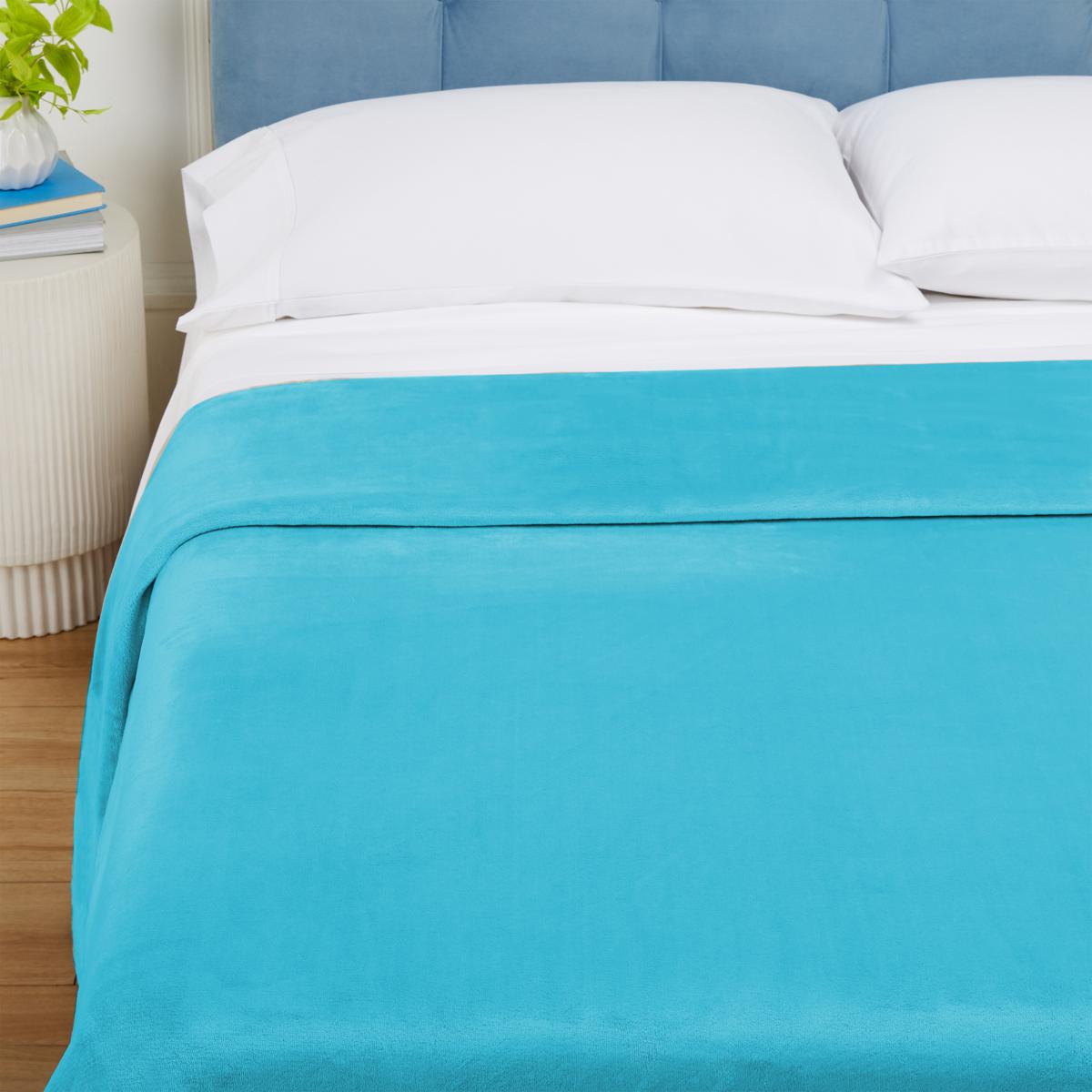 Warm & Cozy Premium Plush Blanket 20835300 HSN