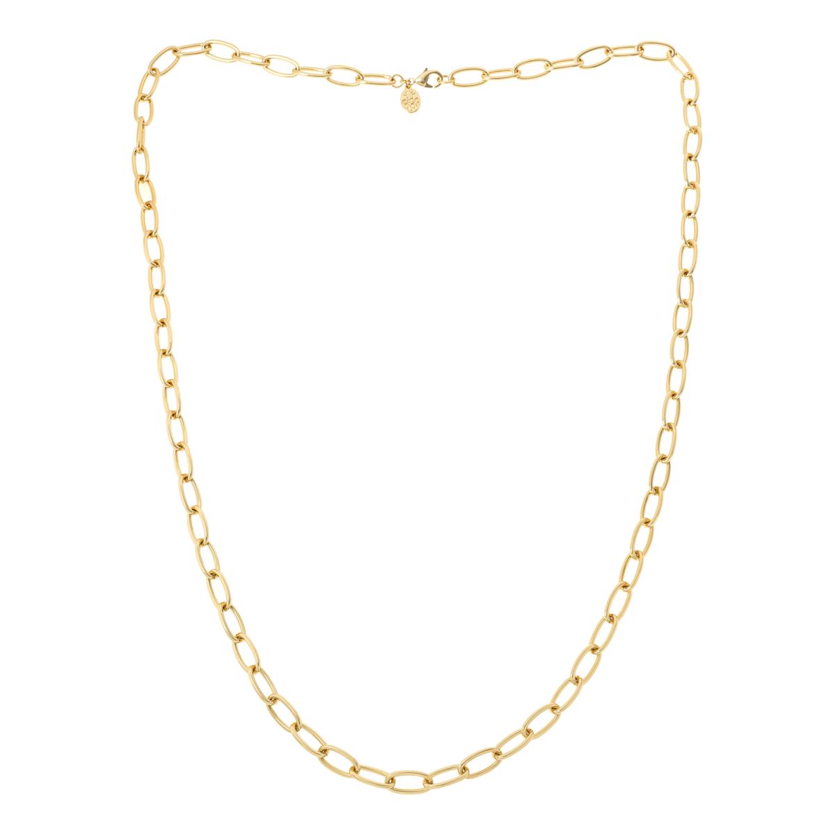 Connie Craig Carroll Jewelry Harlow 36" OvalLink Chain Necklace