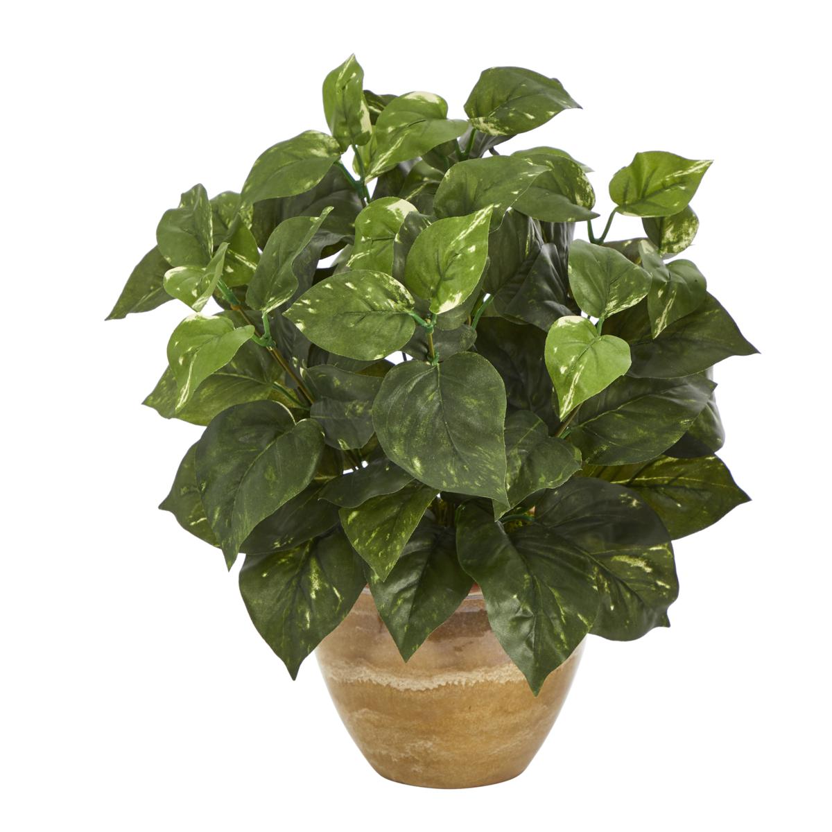 14” Pothos Artificial Plant in Ceramic Planter 20060751 HSN