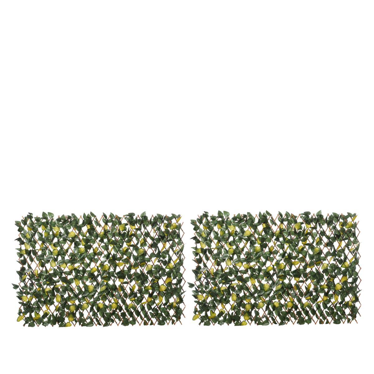 "As Is" Improvements Expandable Fence - 2-pack