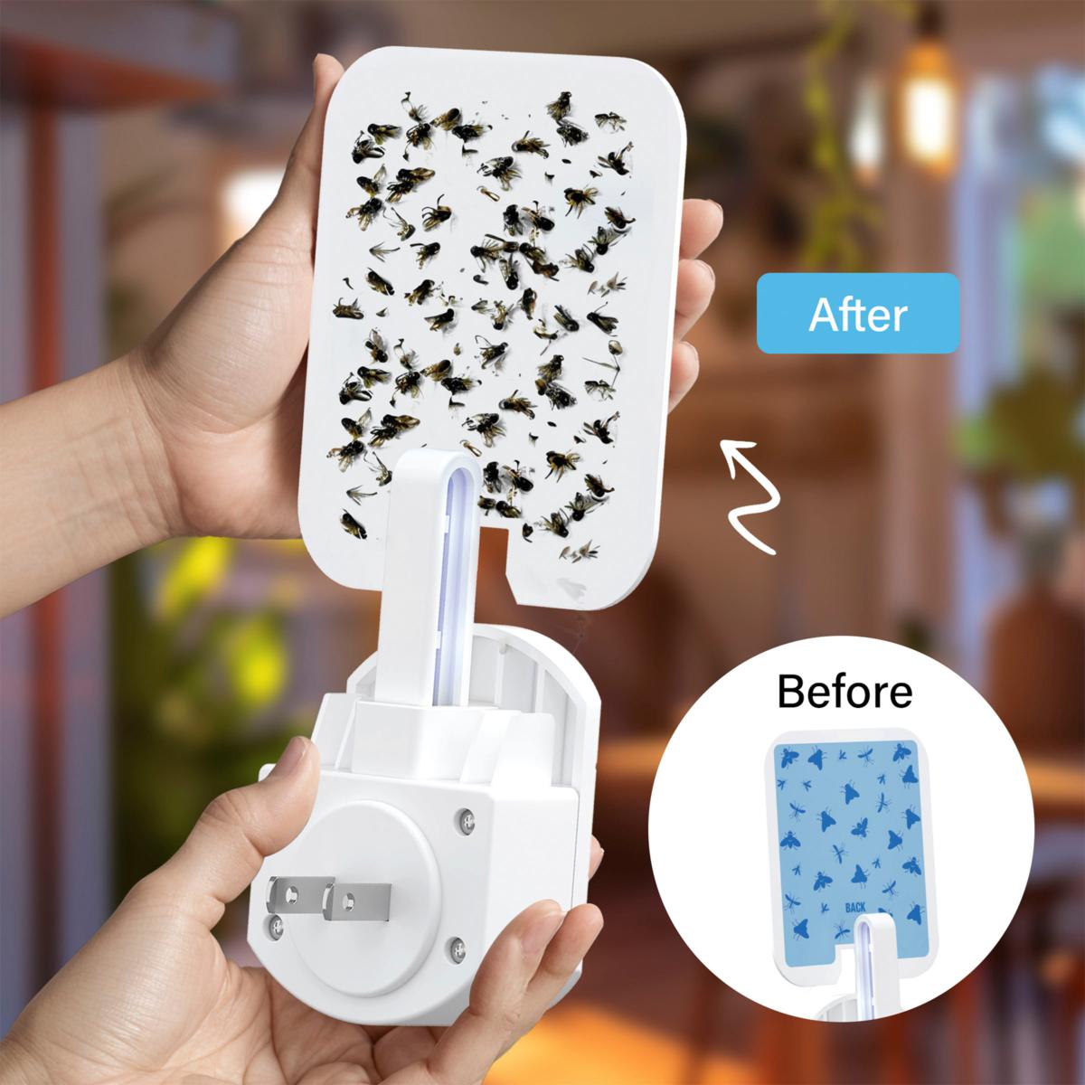 Bell+Howell Rogue Plug-In Insect Traps - 2-pack | HSN