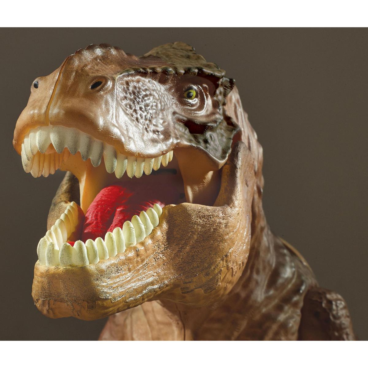 T store rex projector